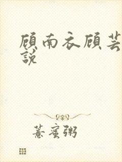 顾南衣顾芸沐小说