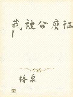 我被公么征服了1