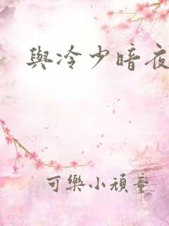 与冷少暗夜孽爱