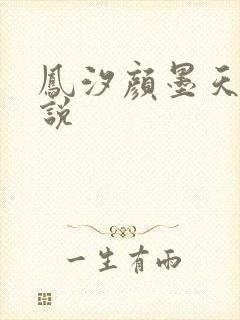 凤汐颜墨天问小说