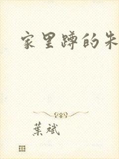 家里蹲的朱教授