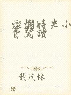 灿烂时光小说免费阅读