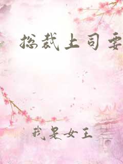 总裁上司要偷心