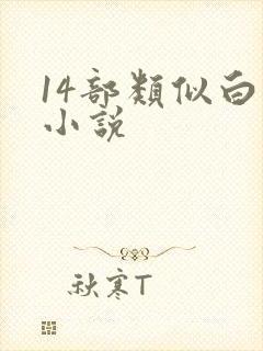 14部类似白洁小说