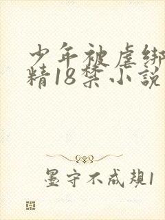 少年被虐绑着榨精18禁小说