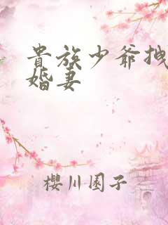 贵族少爷拽拽未婚妻