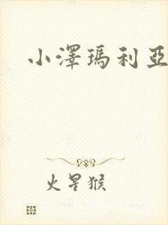 小泽玛利亚作品