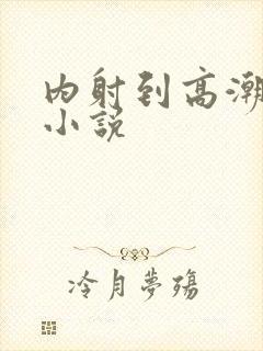 内射到高潮的H小说