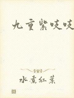 九重紫吱吱小说