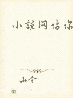 小说网站你懂的