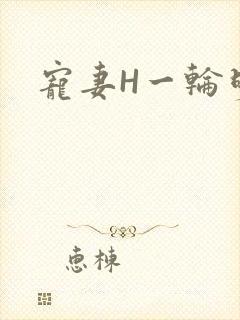 宠妻H一轮明月