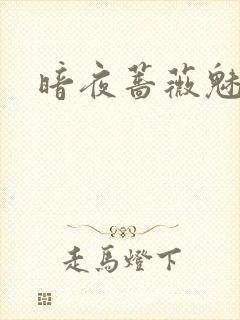 暗夜蔷薇魅之伤