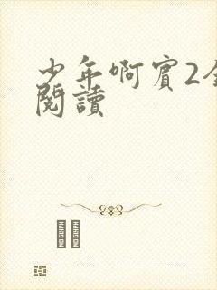 少年啊宾2全文阅读