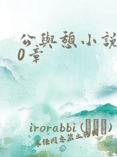 公与憩小说400章