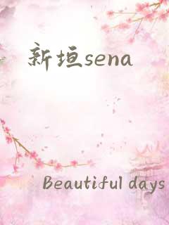 新垣sena