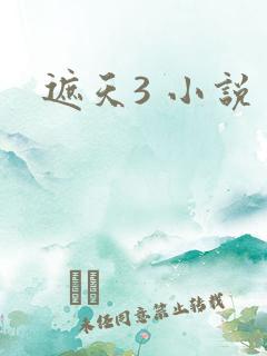 遮天3 小说