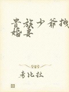 贵族少爷拽拽未婚妻