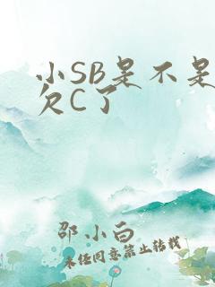 小SB是不是又欠C了