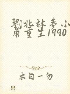 刘北林梦小说主角重生1990