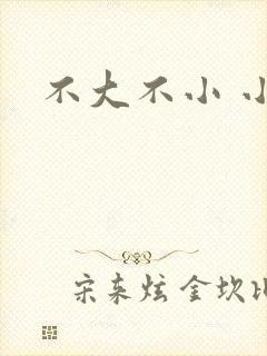 不大不小 小说