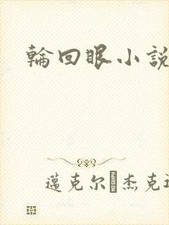 轮回眼小说