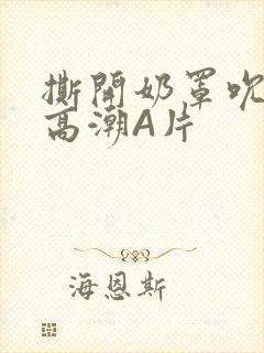 撕开奶罩吮奶头高潮A片