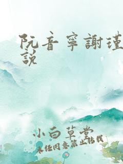 阮音宁谢瑾之小说