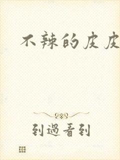 不辣的皮皮小说