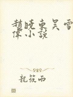 赵晓东吴雪晴郑伟小说