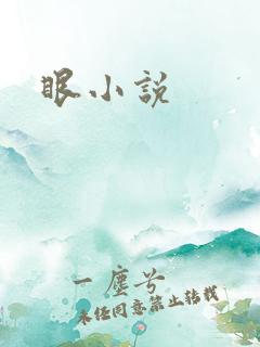 眼小说