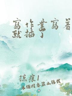 写作业写着写着就插了