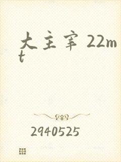 大主宰 22mt