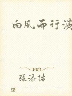 向风而行演员表
