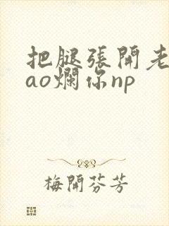 把腿张开老子cao烂你np