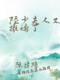 陆少夫人又双叒撒娇了