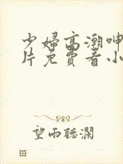 少妇高潮呻吟A片免费看小说