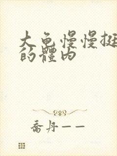 大龟慢慢挺进我的体内