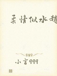 柔情似水赵雅儿