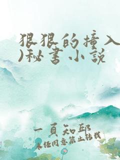 狠狠的撞入(h)秘书小说