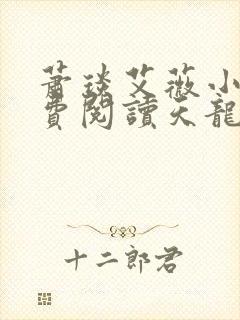 萧琰艾薇小说免费阅读天龙殿