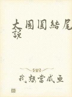 大团圆结尾的小说