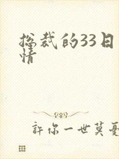 总裁的33日索情