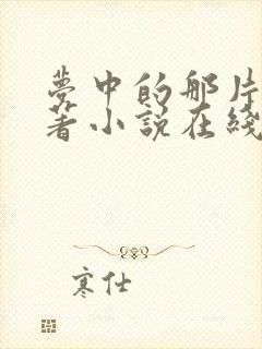 梦中的那片海原著小说在线阅读