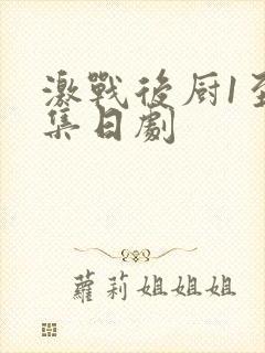 激战后厨1至5集日剧