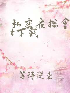私密夜总会txt下载