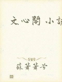 文心阁 小说