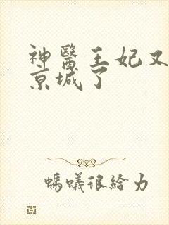 神医王妃又轰动京城了