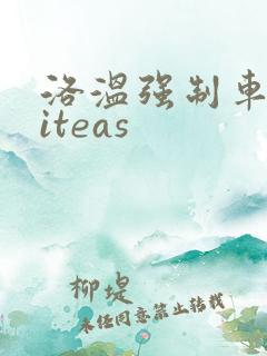 洛温强制车writeas