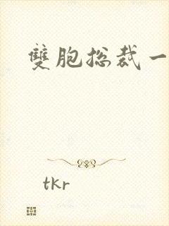 双胞总裁一个妻