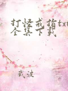 打怪戒指txt全集下载